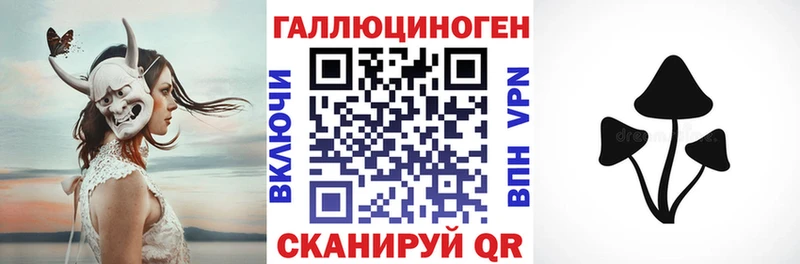 Галлюциногенные грибы Psilocybine cubensis  Рассказово 